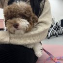 독앤트리 네이버블로그