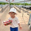 응골농장 이미지