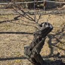 김해건설공업고등학교 이미지