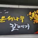 은행나무 갈매기 이미지