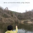 축제낚시