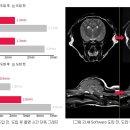이안동물의학센터 이미지