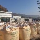 동두천농협 앞 이미지