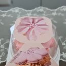 GS25 구로벚꽃점 | gs25편의점 신상품디저트 벚꽃마카롱 후기