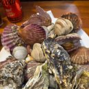 고마스크린골프 이미지