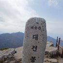 4/10[수]대구 비슬산+참꽃+대견사(명산100)-산행안내/좌석표 이미지