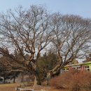 단강보건진료소 이미지