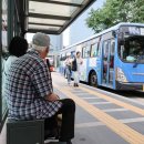[속보] 서울 70세 이상 버스비 지원조례 통과…무임승차 근거 마련 이미지