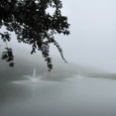 옥성자연휴양림 이미지