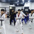 용인대 마북 태권도 이미지