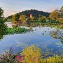 충북 제천 하늘호수 – 천연 한방 화장품, 웰니스 힐링!