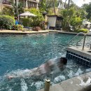 동그라미 당구클럽 | 크기의 야외 수영장, 푸켓 그레이스랜드 리조트 앤 스파 (Phuket Graceland Resort &amp; Spa) 상세 숙박 후기