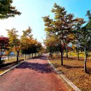 서부로1390번길 이미지