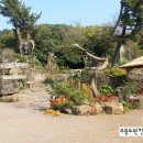 자연애민박 이미지