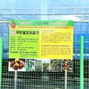 미림농장영농조합법인 이미지