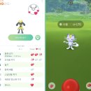포켓몬고 파트너와 함께 이벤트로 파트너 포켓몬 유대감 이벤트 1일차 후기