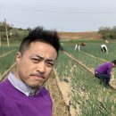 신덕1리마을회관 이미지