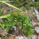 해넘이길 이미지