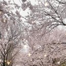 응암공원 이미지