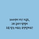 역전남성 이미지