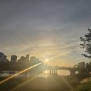 은빛날개 | [화성] 새솔동 은빛나래교 🌉 드디어 개통! 직접 걸어본 산책 후기 & 야경 명소 인정✨