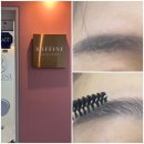 [압구정역 브라우리프트펌] 라피네 뷰티스튜디오 Raffine Beauty Studio | 첫 브라우리프트펌 후기