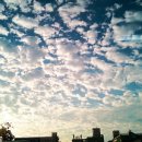 맑은하늘 이미지