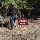 느티나무 일원 이미지