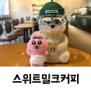 정도 | 스타벅스 스위트밀크커피 달달함 정도 후기