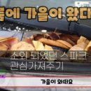 자인카센터 이미지