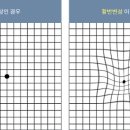 롯데안경 이미지