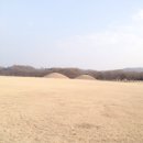 첨성대한의원 네이버블로그