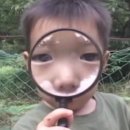 J.M테크 | 웨딩플래너 테스트 공유 나에게 맞는 웨딩플래너는?12개 업체 특징 비교