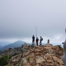 참새미골 이미지