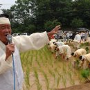 아리랑축산 이미지