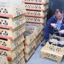 골드모텔 이미지