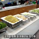 부영한식부페 티스토리