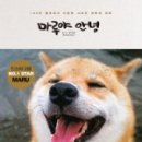 마루야 네이버블로그