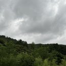 (주)도파민 이미지