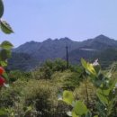 친환경민박 이미지