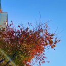 뉴미소공인중개사사무소 이미지