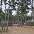 신두리 | 충남 태안 가든글램핑 오토캠핑장 사이트 후기, 신두리 해변 5분거리 캠핑장