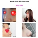 로즈텔 이미지