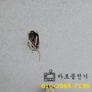 서해전기조명인테리어 네이버블로그