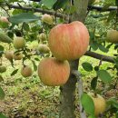 오복농장 이미지