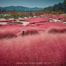 신소양체육공원 이미지