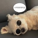 백스트리트 이미지