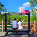 마장호수 공중화장실 이미지