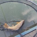 화제낚시터 이미지