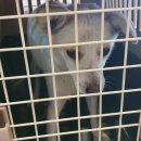 아영초등학교 이미지